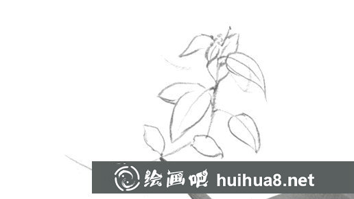 樹葉速寫畫法第二步