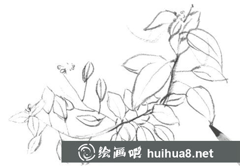 樹葉速寫畫法第三步