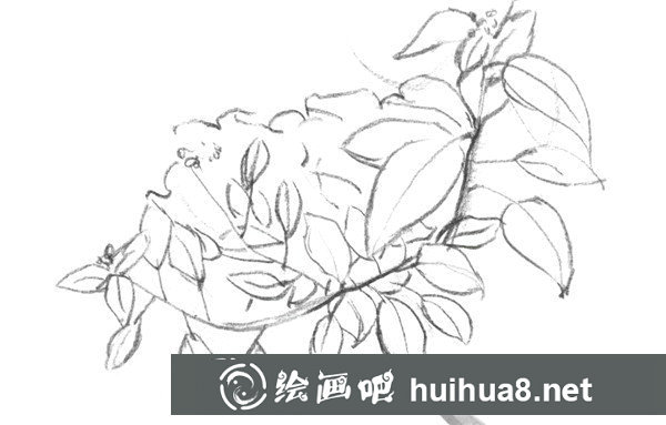 樹葉速寫畫法第四步