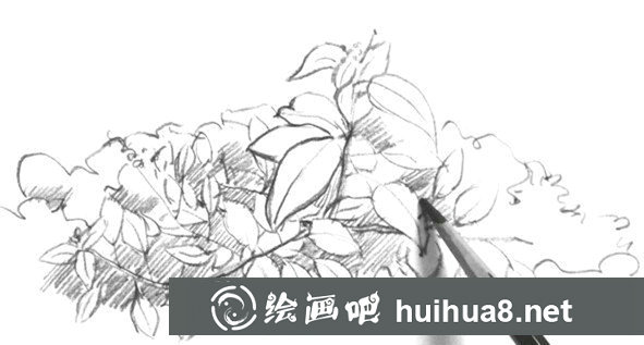 樹葉速寫畫法第六步