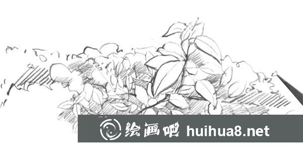 樹葉速寫畫法第七步