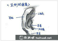 素描入門技巧：耳朵畫法精講教程