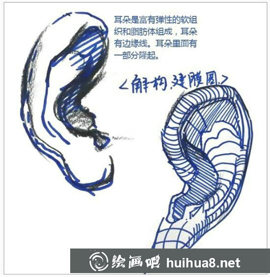 素描入門：素描耳朵畫法的精講教程