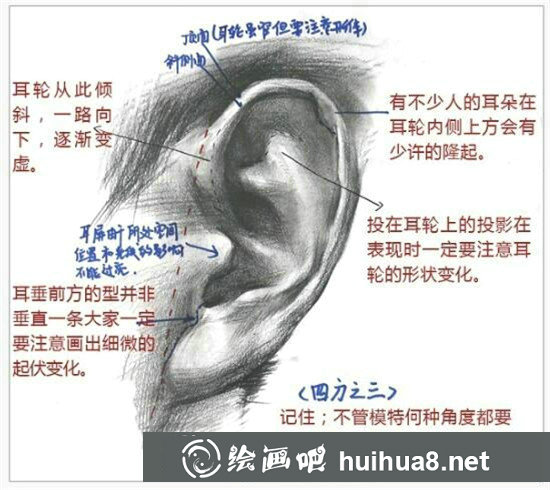 素描入門：素描耳朵畫法的精講教程