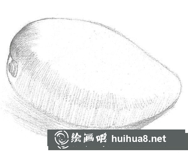 芒果的素描畫法