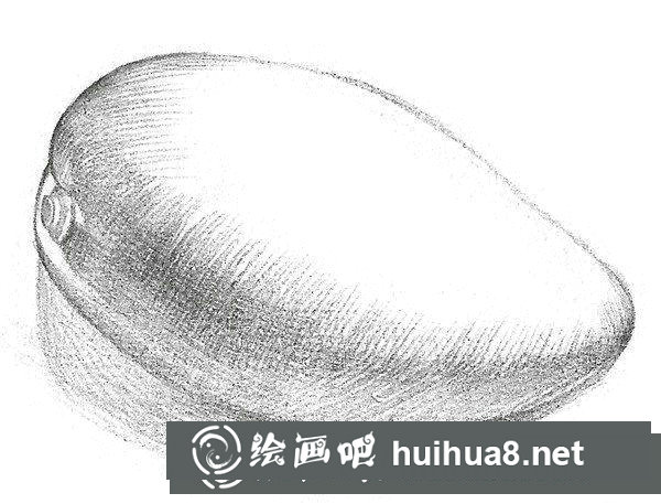 芒果的素描畫法