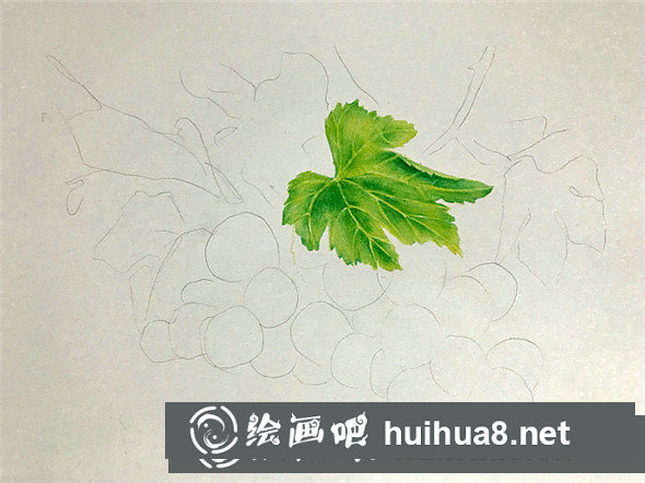 彩鉛畫教程：彩鉛畫青葡萄畫法