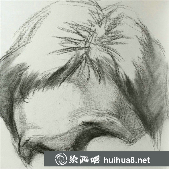 素描入門：頭像素描額頭的比例關(guān)系精講教程