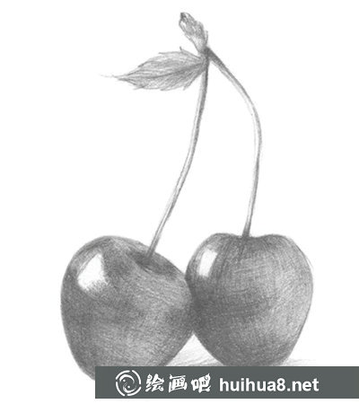 素描櫻桃