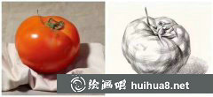 蔬菜水果單體素描教程