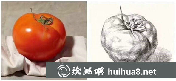 單體素描：蔬菜水果單體素描組合教程