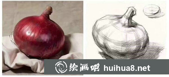 單體素描：蔬菜水果單體素描組合教程
