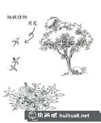 鋼筆畫入門技巧揭秘：起稿步驟詳解
