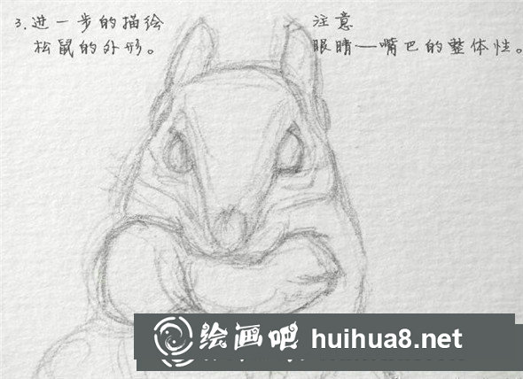 鋼筆畫(huà)動(dòng)物教程：小松鼠鋼筆畫(huà)具體畫(huà)法教學(xué)