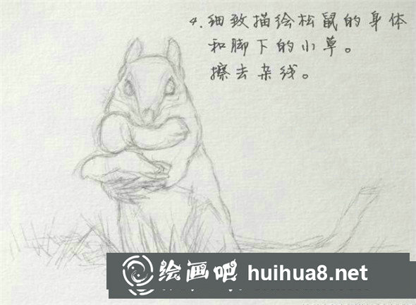 鋼筆畫(huà)動(dòng)物教程：小松鼠鋼筆畫(huà)具體畫(huà)法教學(xué)
