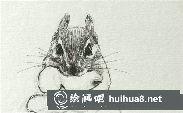 鋼筆畫(huà)動(dòng)物教程：小松鼠鋼筆畫(huà)具體畫(huà)法教學(xué)