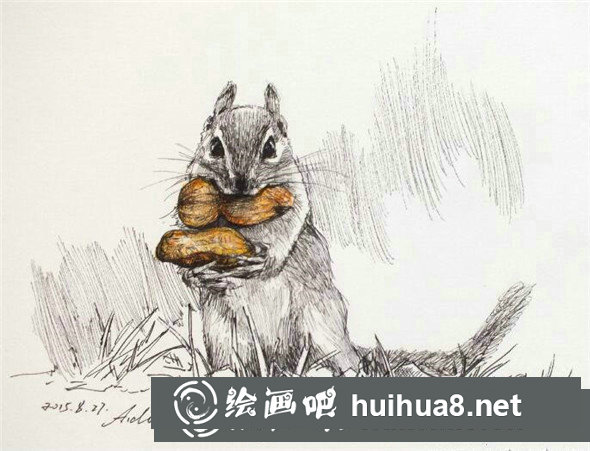 鋼筆畫(huà)動(dòng)物教程：小松鼠鋼筆畫(huà)具體畫(huà)法教學(xué)