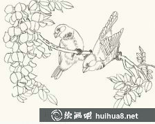 花鳥工筆畫教程金絲雀步驟圖