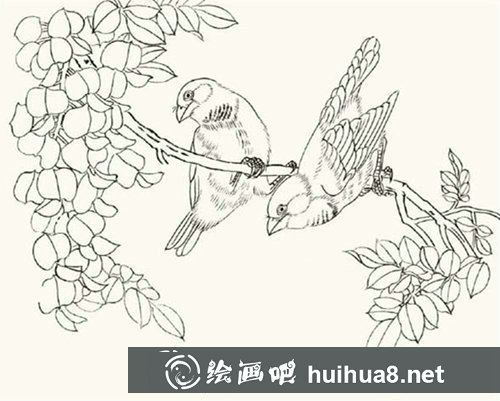 工筆畫金絲雀步驟圖