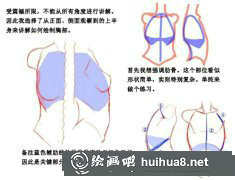 漫畫教程：女性胸部畫法全解析