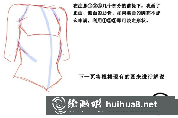 漫畫教程：女性胸部的漫畫畫法