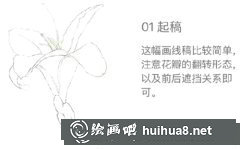 百合花水彩畫步驟圖解教程