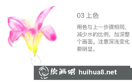 水彩畫百合花步驟圖片