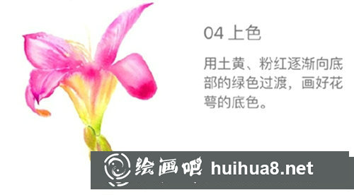 水彩畫百合花步驟圖片