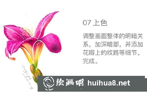 水彩畫百合花步驟圖片