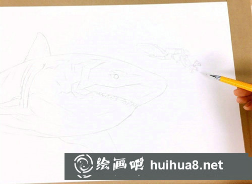 手繪可愛小熊輪廓