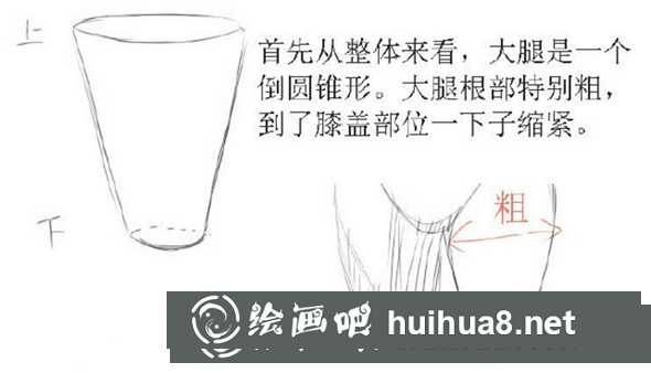 大腿基本結(jié)構(gòu)圖