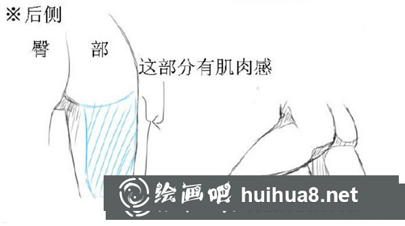 后側(cè)大腿畫法圖