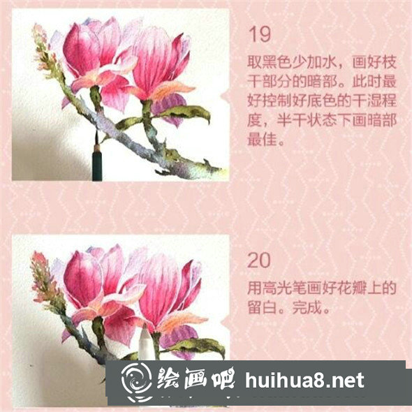 水彩畫教程：教你畫簡單又好看的玉蘭花