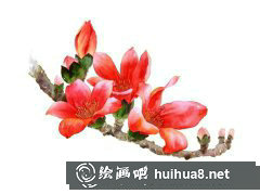 水彩畫教程木棉花繪畫教學(xué)