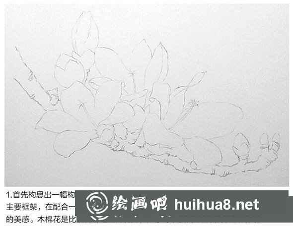 水彩畫教程：教你畫木棉花