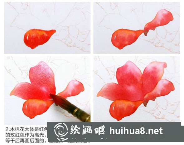 水彩畫教程：教你畫木棉花