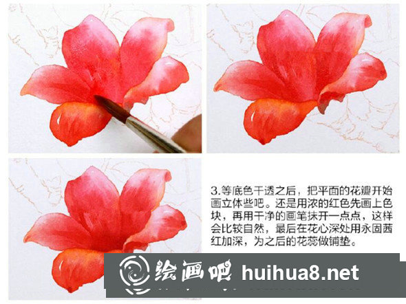 水彩畫教程：教你畫木棉花