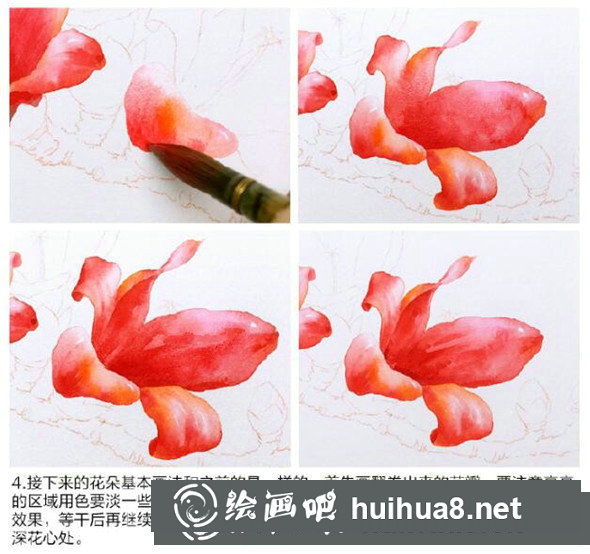 水彩畫教程：教你畫木棉花