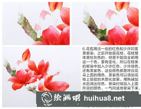 水彩畫教程：教你畫木棉花