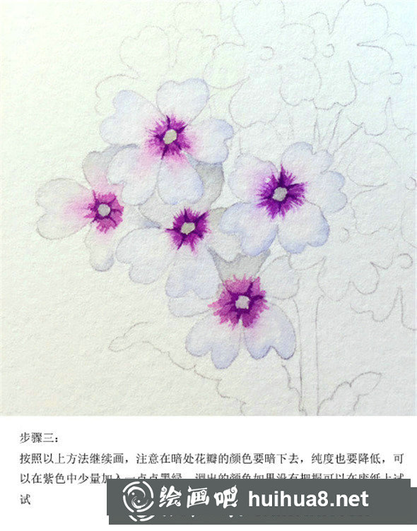 插畫教程：手繪美女櫻的畫法