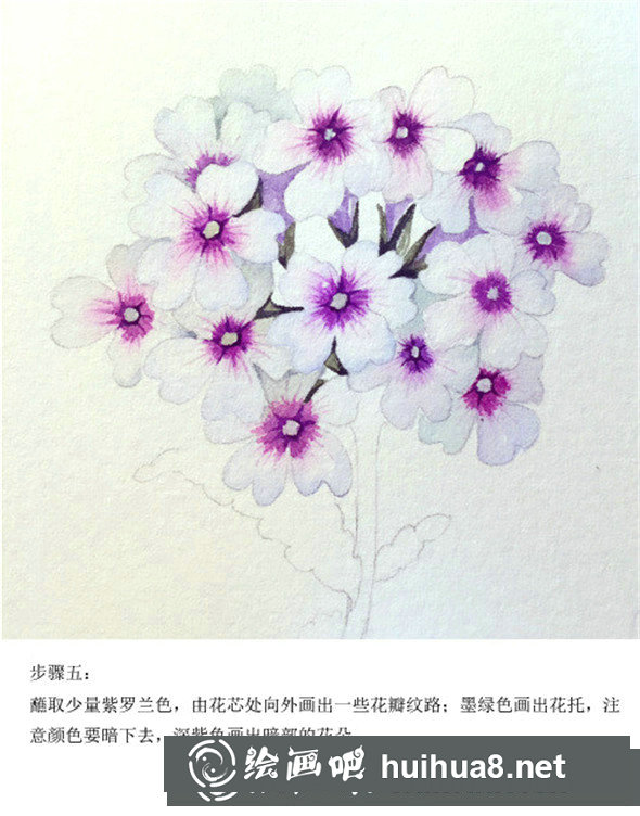 插畫教程：手繪美女櫻的畫法