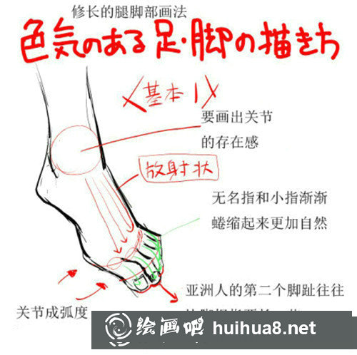 腳部漫畫畫法教程