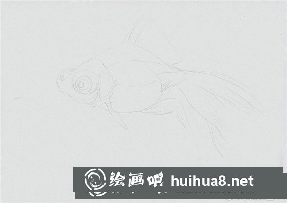 彩鉛畫動物：金魚的彩鉛畫教程