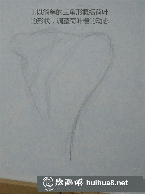 素描植物教程：荷葉的素描畫法教學(xué)