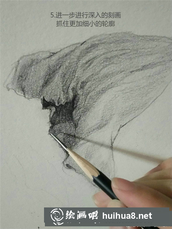 素描植物教程：荷葉的素描畫法教學(xué)