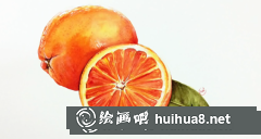 水果西柚水彩畫教程