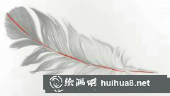 素描羽毛繪制技巧