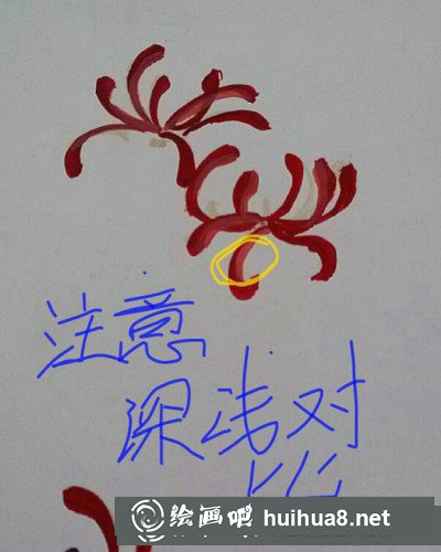 彼岸花手繪教程
