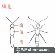 PS插畫教程：蝴蝶繪制技巧