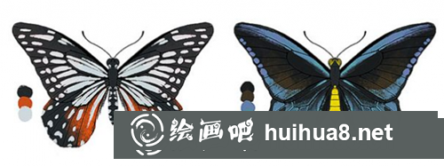 PS蝴蝶的畫法